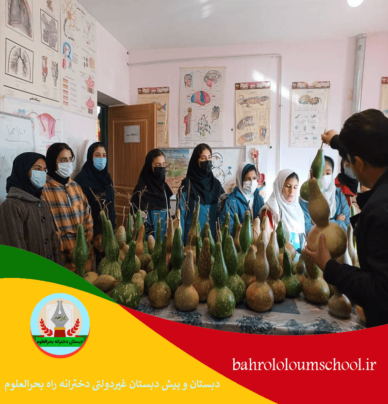 دبستان و پیش دبستان غیردولتی دخترانه راه بحرالعلوم
